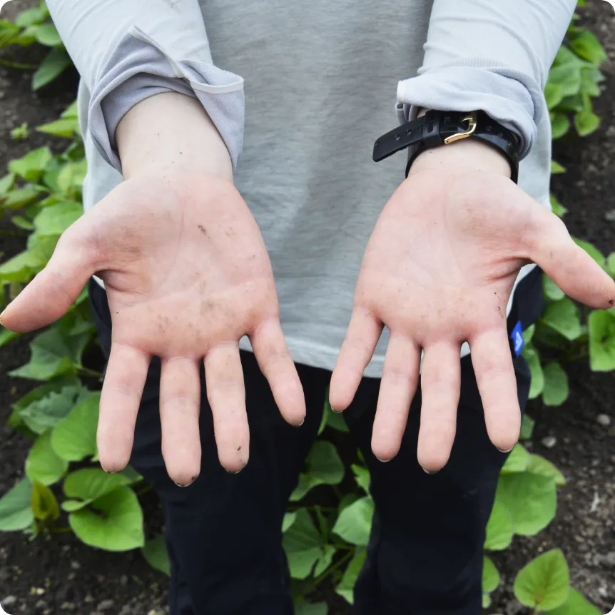 野菜に愛情を注ぐスタッフの手1