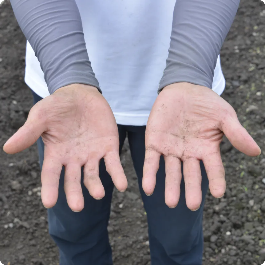 野菜に愛情を注ぐスタッフの手2
