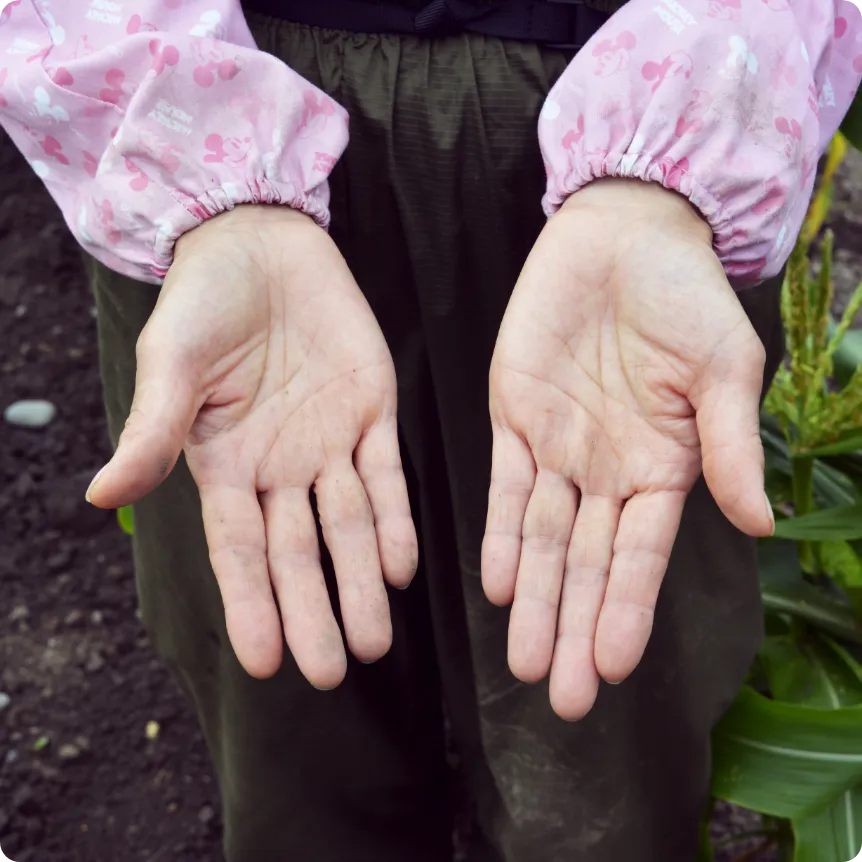 野菜に愛情を注ぐスタッフの手4