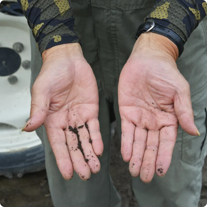 野菜に愛情を注ぐスタッフの手6
